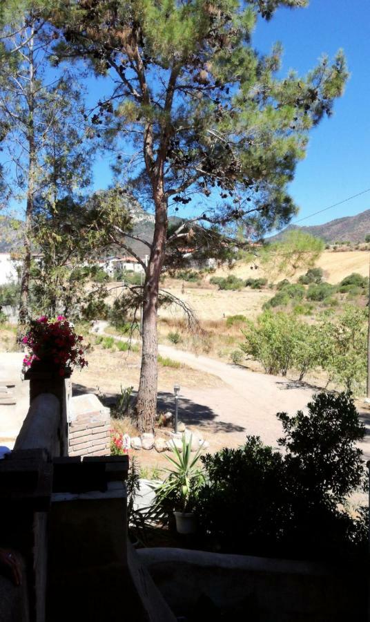 Domusnovas Casa Vacanza Il Mandorlo מראה חיצוני תמונה