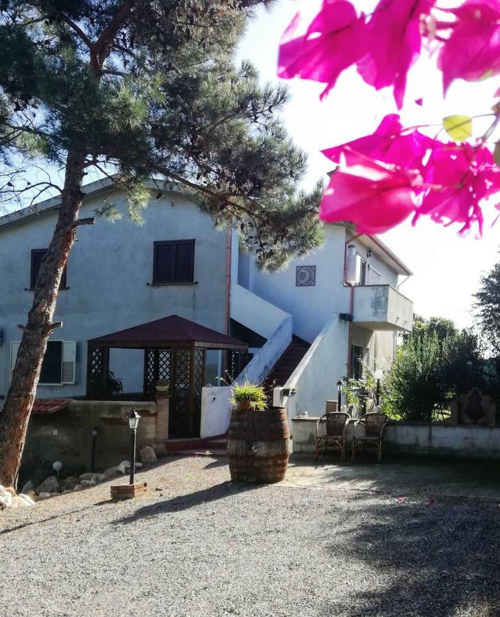 Domusnovas Casa Vacanza Il Mandorlo מראה חיצוני תמונה